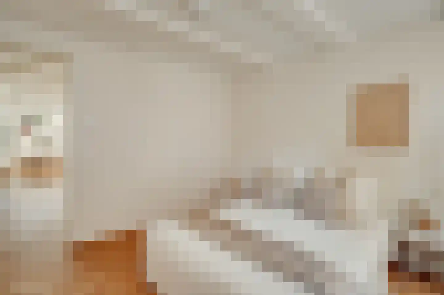 Haarlemmer Houttuinen 17 B Amsterdam thumbnail 12