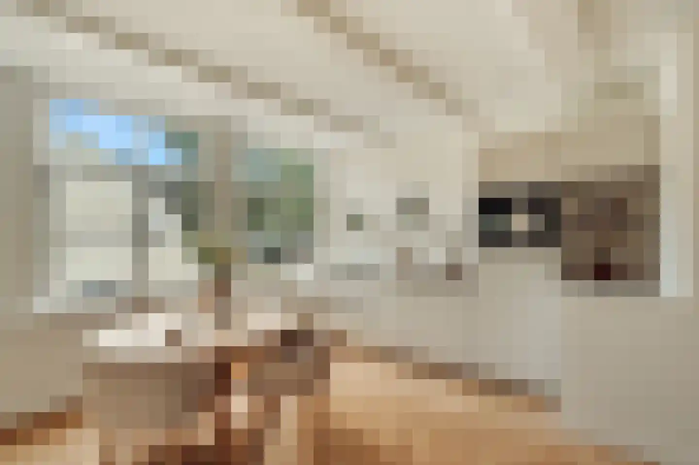 Haarlemmer Houttuinen 17 B Amsterdam thumbnail 8