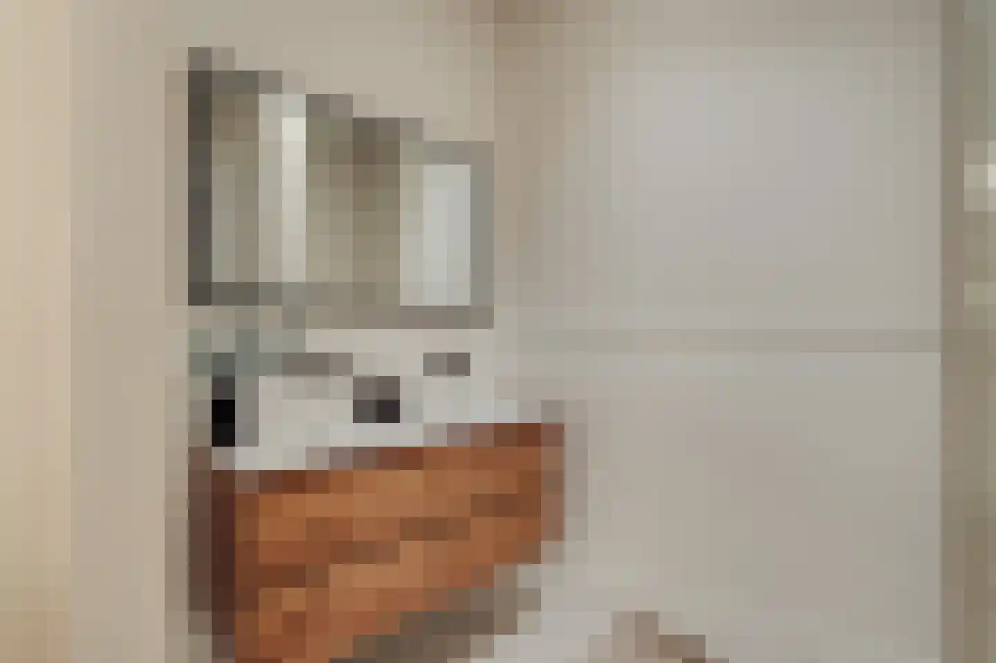 Haarlemmer Houttuinen 19 A Amsterdam thumbnail 20