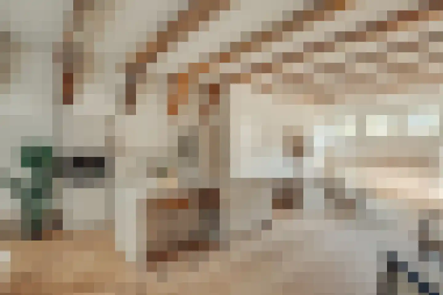 Haarlemmer Houttuinen 19 A Amsterdam thumbnail 6