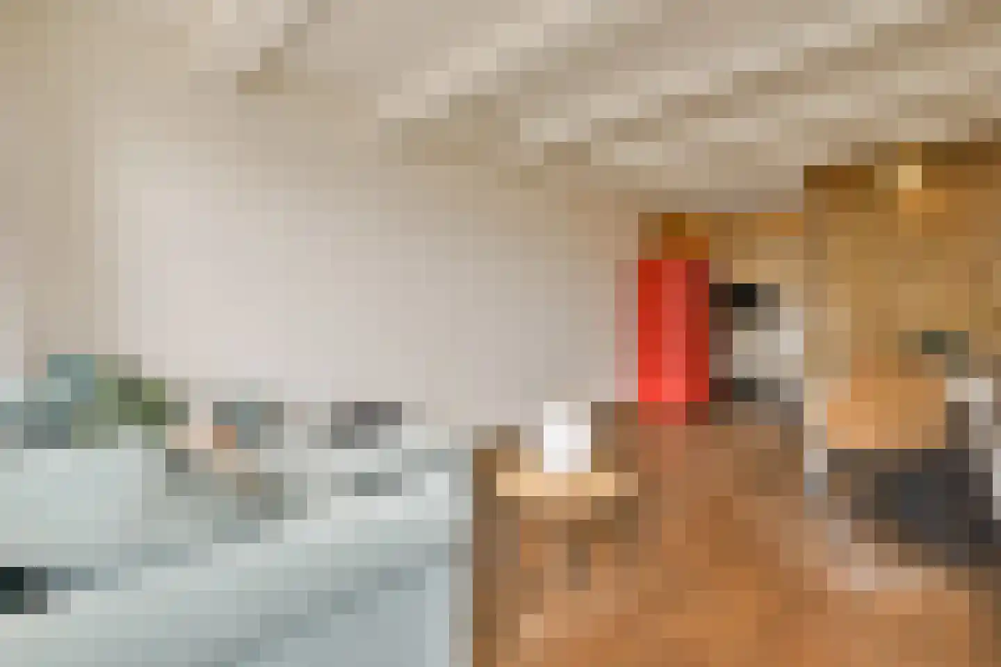 Haarlemmer Houttuinen 295 Amsterdam thumbnail 11