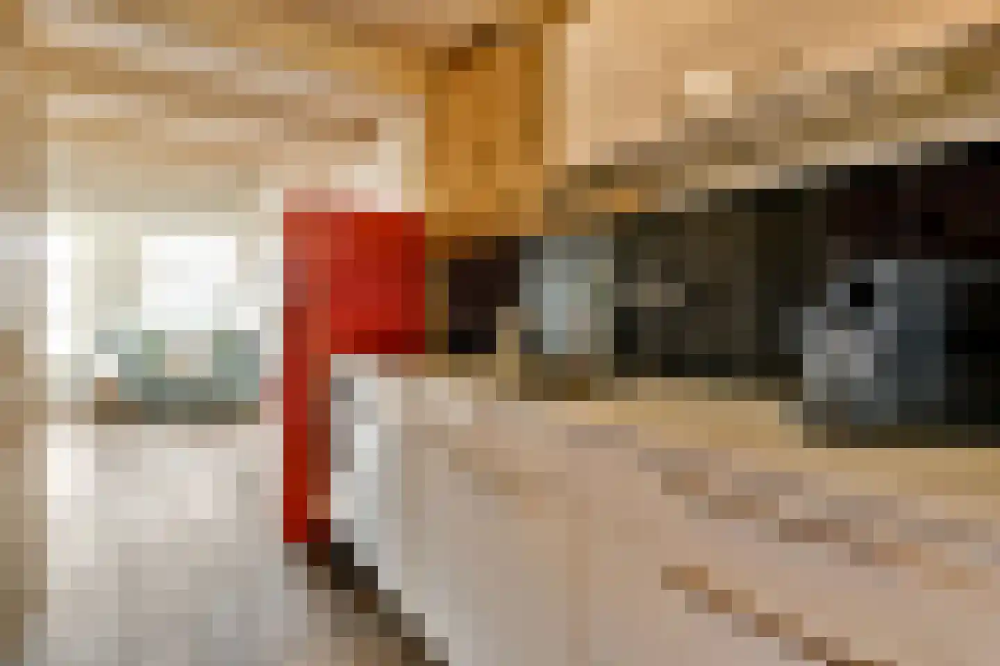 Haarlemmer Houttuinen 295 Amsterdam thumbnail 4