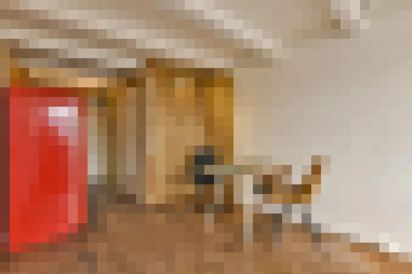 Haarlemmer Houttuinen 295 Amsterdam thumbnail 8