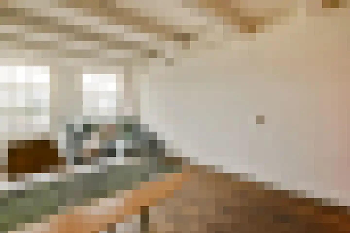 Haarlemmer Houttuinen 295 Amsterdam thumbnail 9