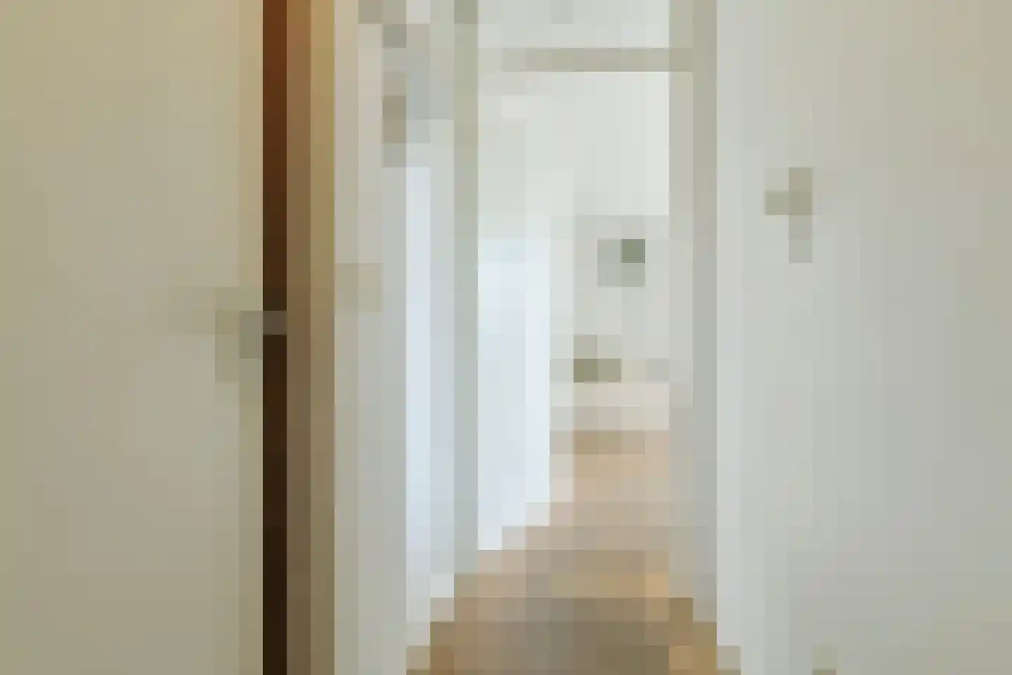 Haarlemmer Houttuinen 45 H Amsterdam thumbnail 4