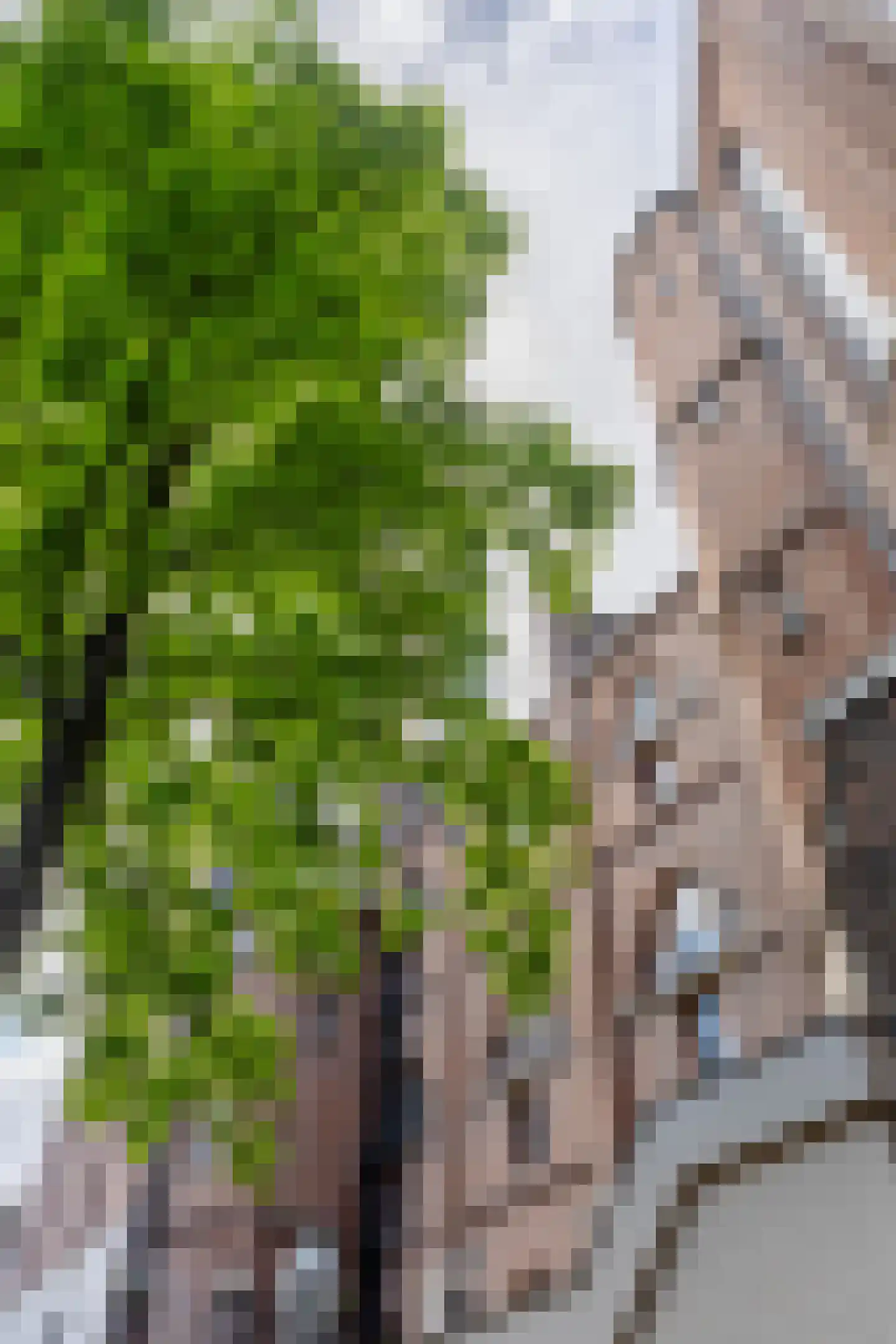 Haarlemmer Houttuinen 45 K Amsterdam thumbnail 15