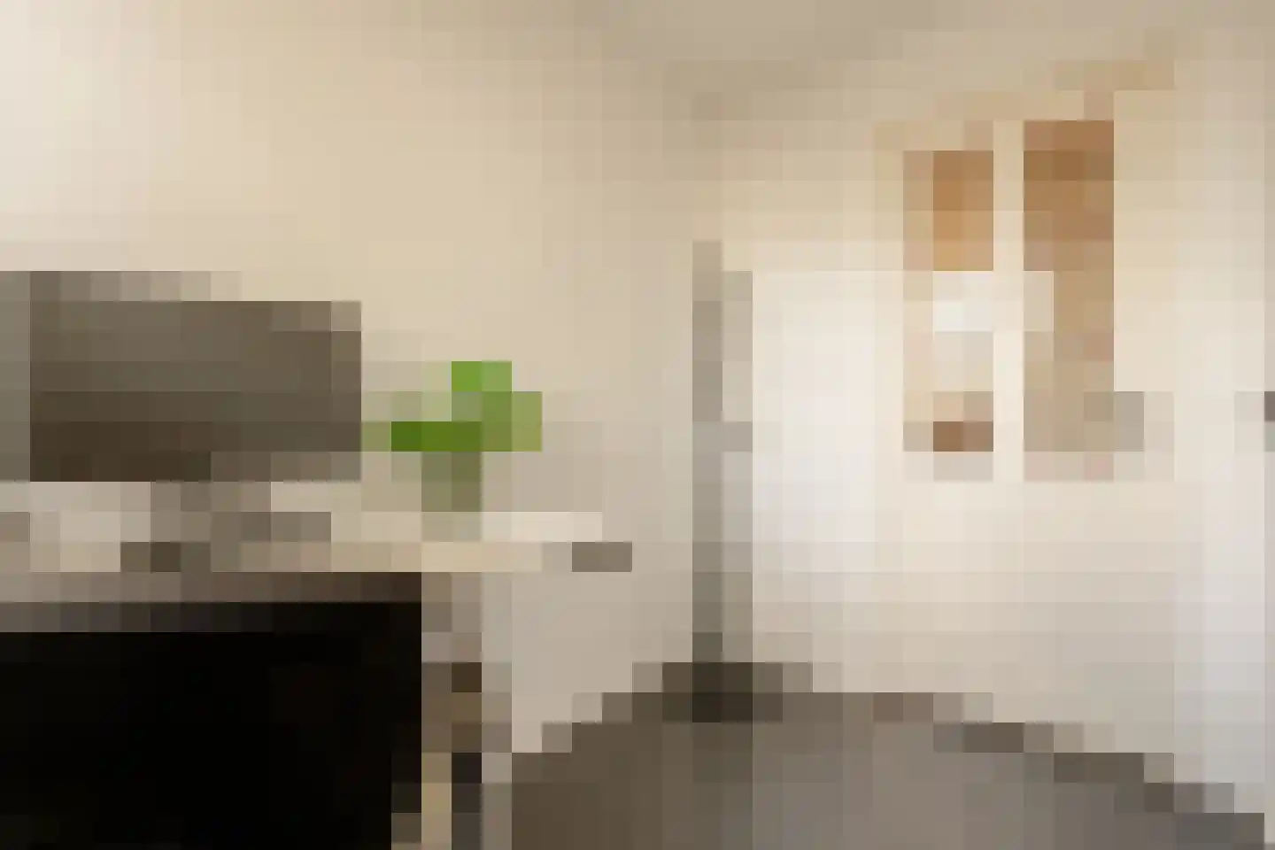 Haarlemmer Houttuinen 45 K Amsterdam thumbnail 25