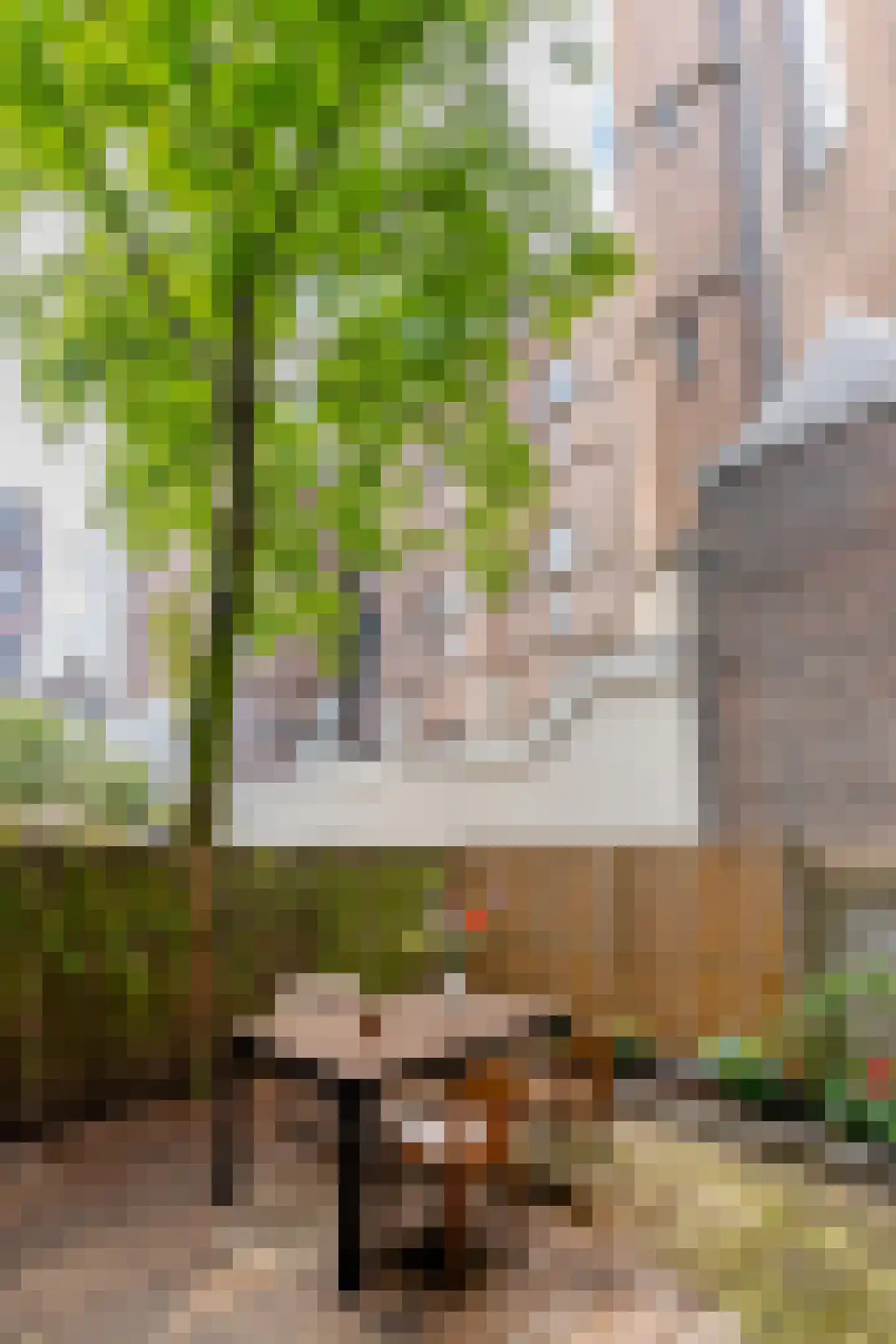 Haarlemmer Houttuinen 45 K Amsterdam thumbnail 9