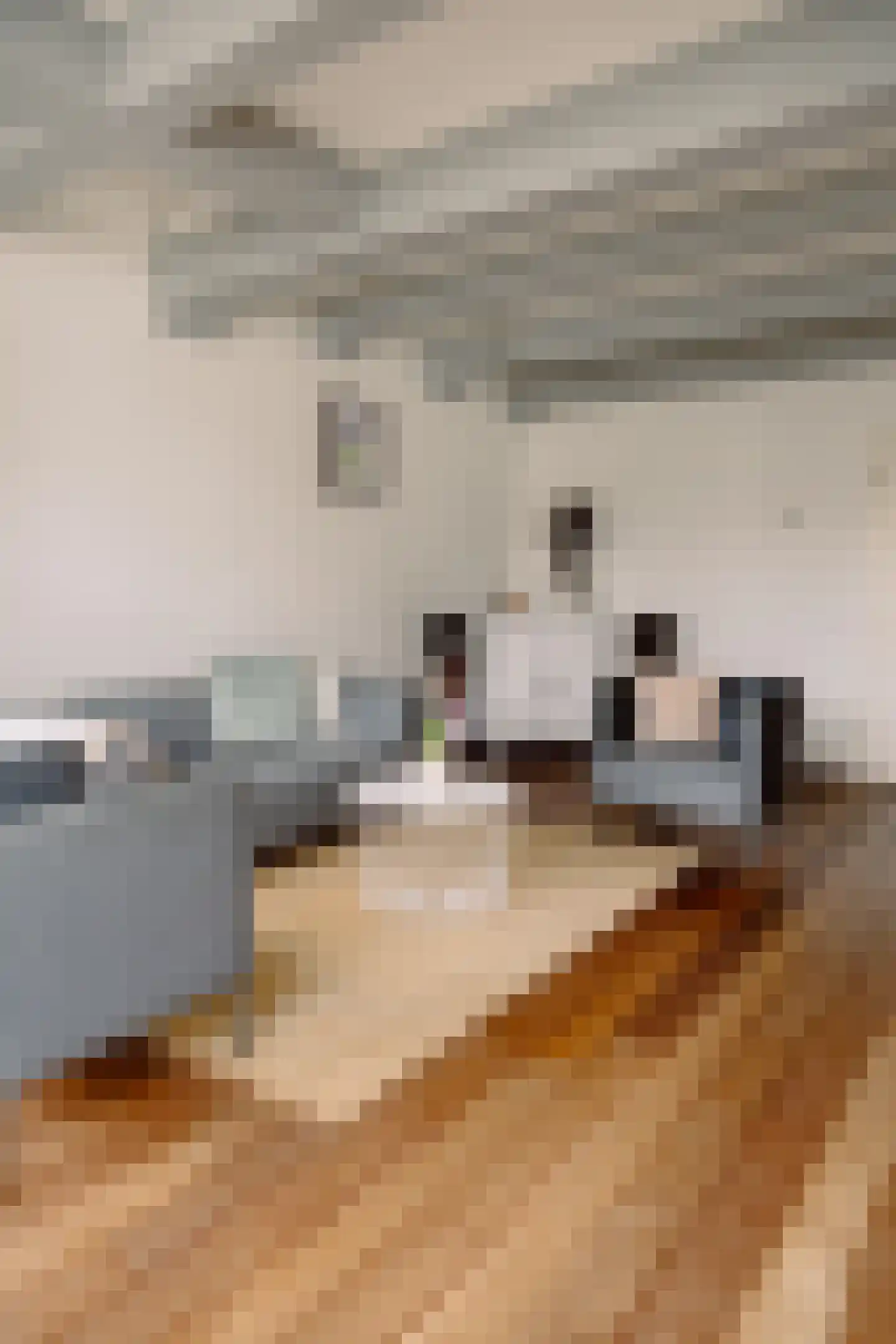 Haarlemmer Houttuinen 5 B Amsterdam thumbnail 7