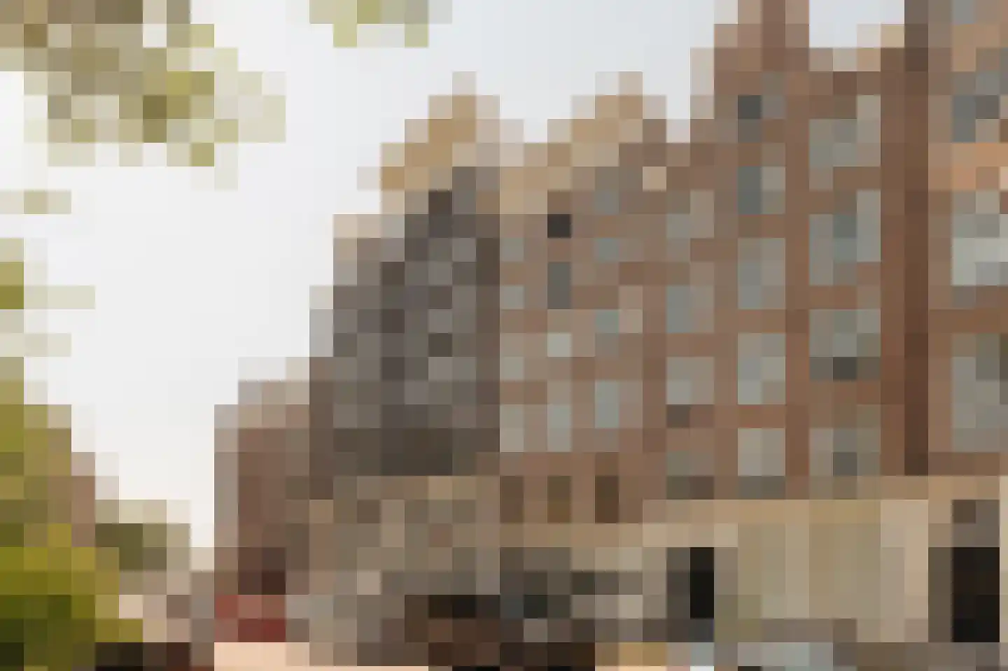 Haarlemmer Houttuinen 5 C Amsterdam foto 2