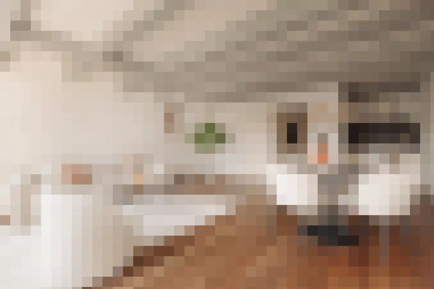 Haarlemmer Houttuinen 5 C Amsterdam thumbnail 7