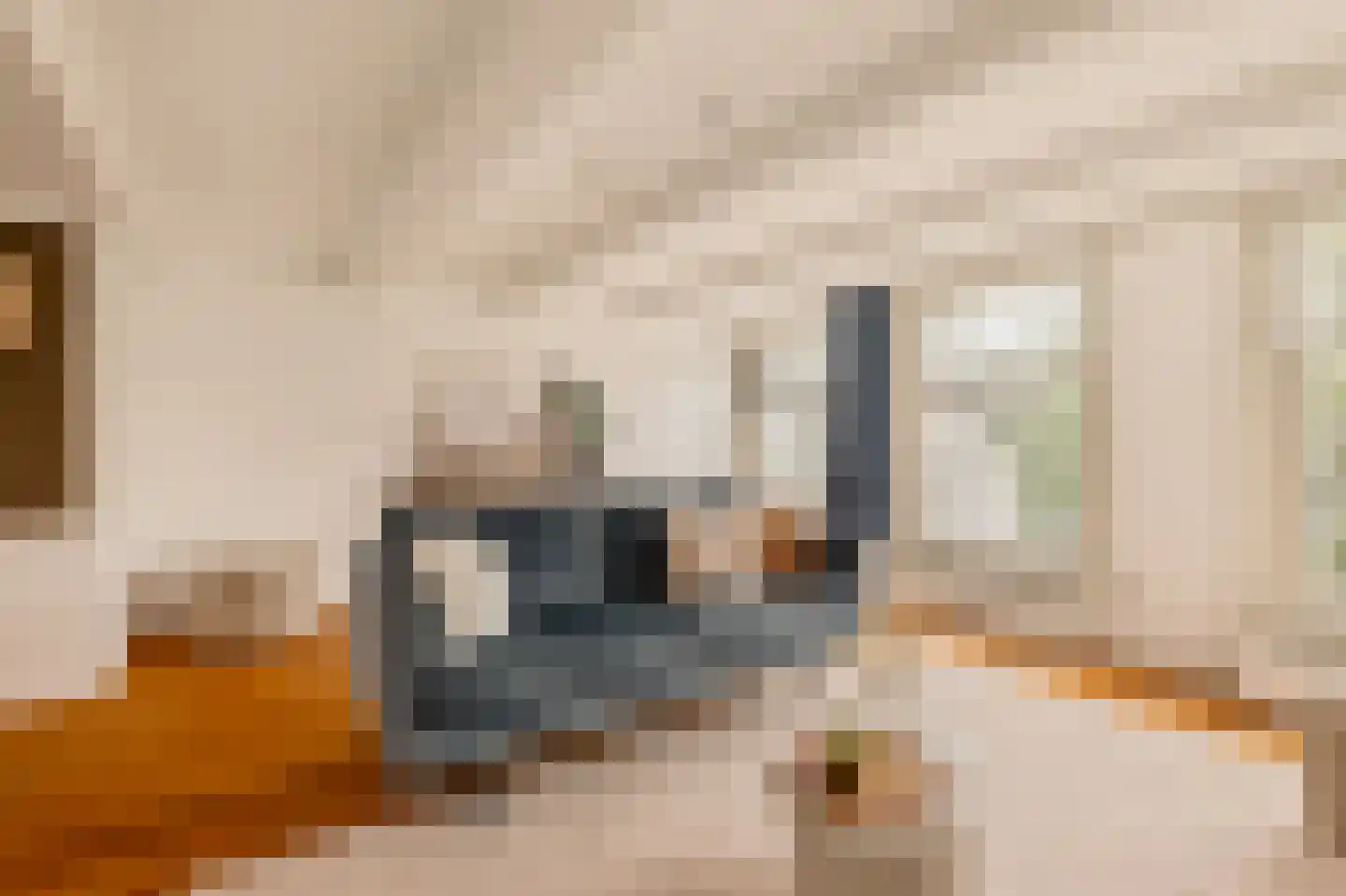 Haarlemmer Houttuinen 7 B Amsterdam thumbnail 8