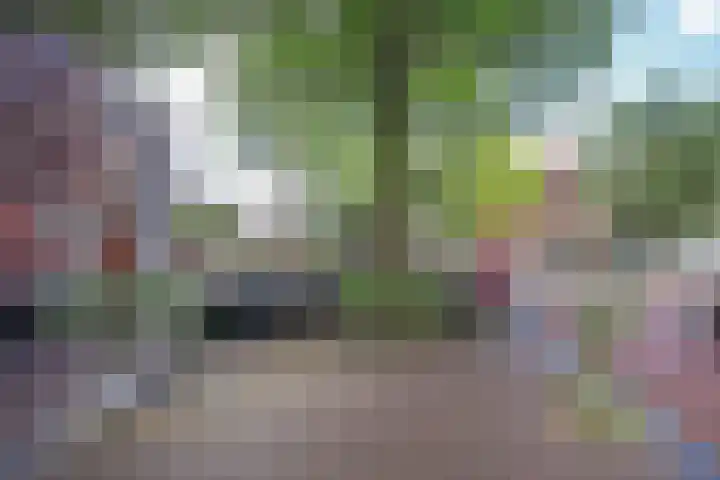 Haarlemmerdijk 136 2 Amsterdam thumbnail 42