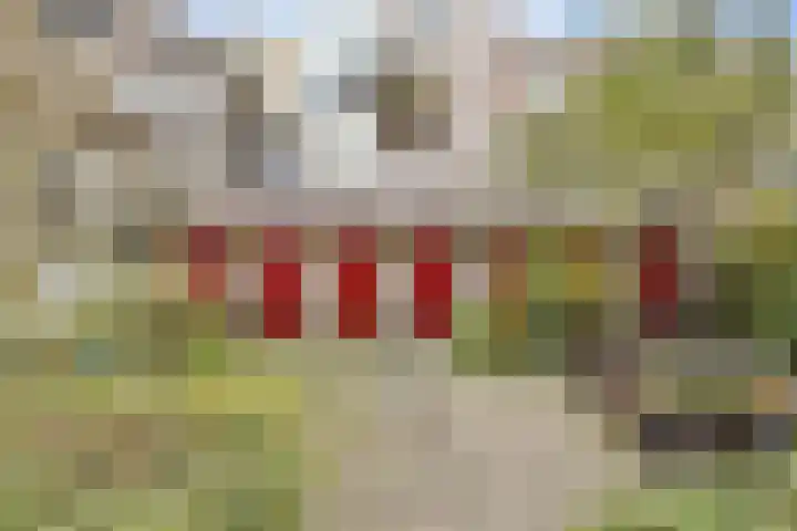 Haarlemmerdijk 69 C Amsterdam thumbnail 20