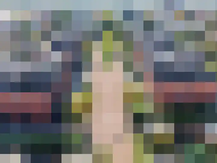 Haarlemmermeerpolder 10 Amersfoort thumbnail 9
