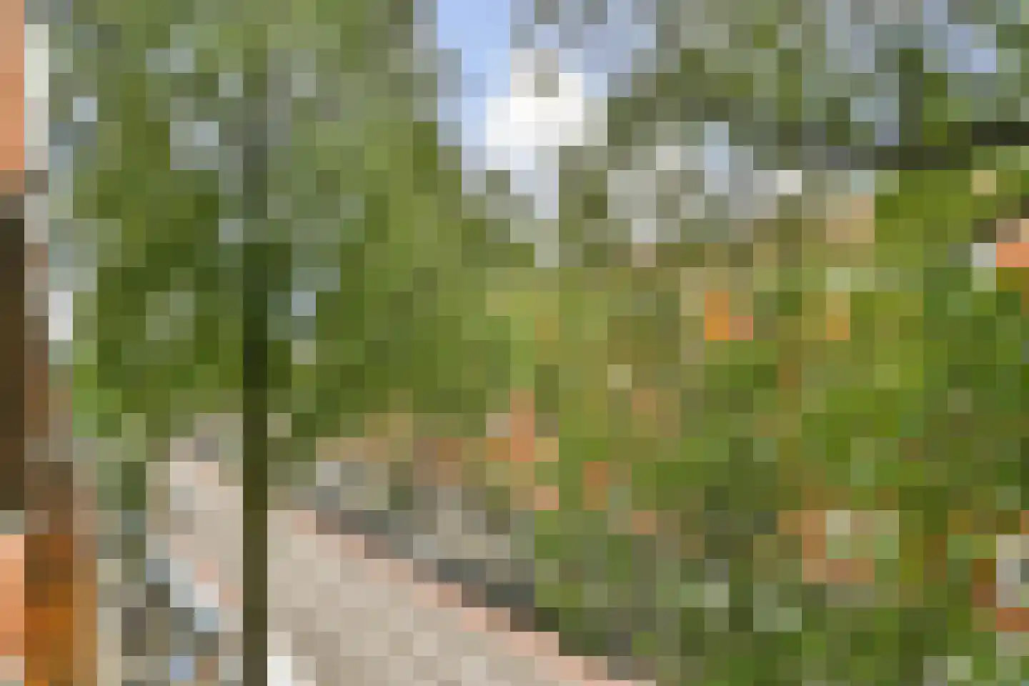 Haarlemmermeerstraat 125 4 Amsterdam thumbnail 12