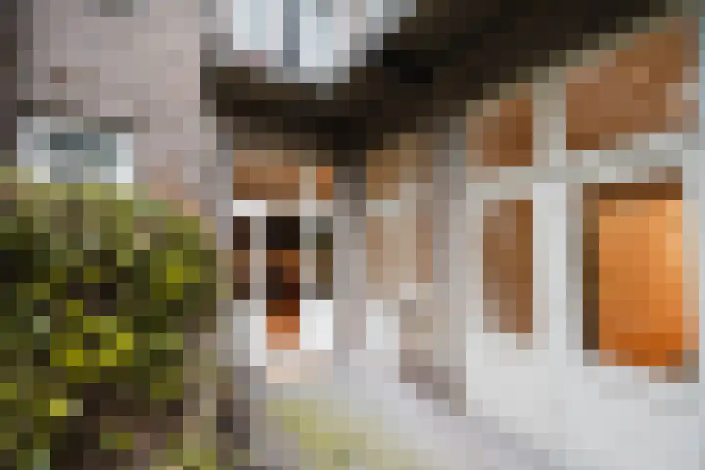 Haarlemmermeerstraat 18 Amsterdam thumbnail 31