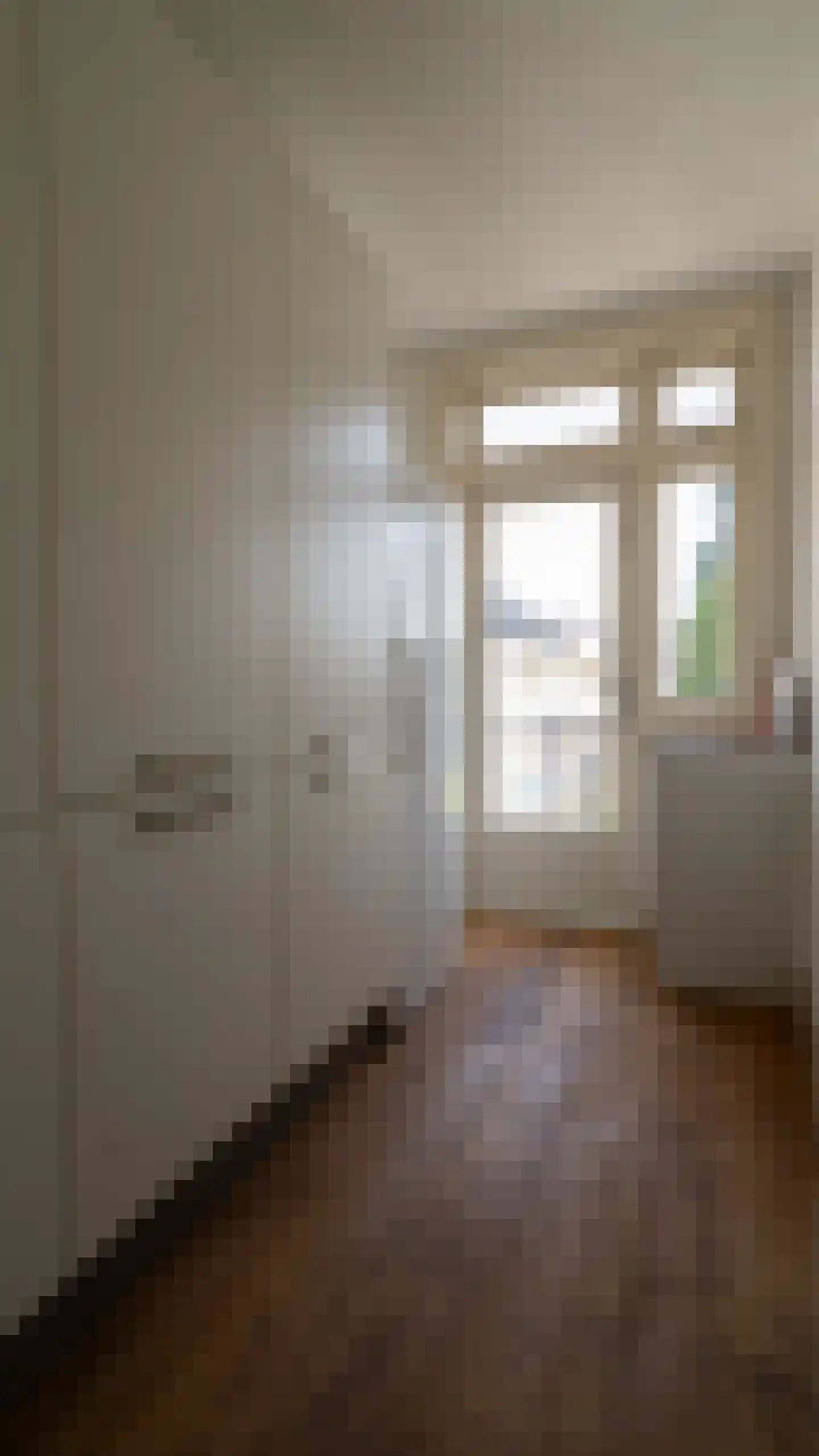 Haarlemmermeerstraat 31 3 Amsterdam thumbnail 18