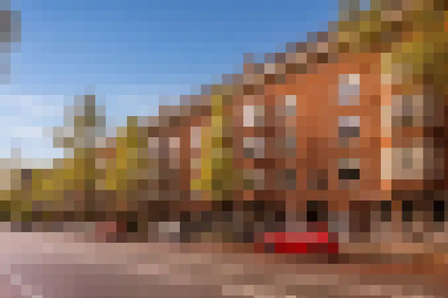 Haarlemmermeerstraat 38 1 Amsterdam thumbnail 22