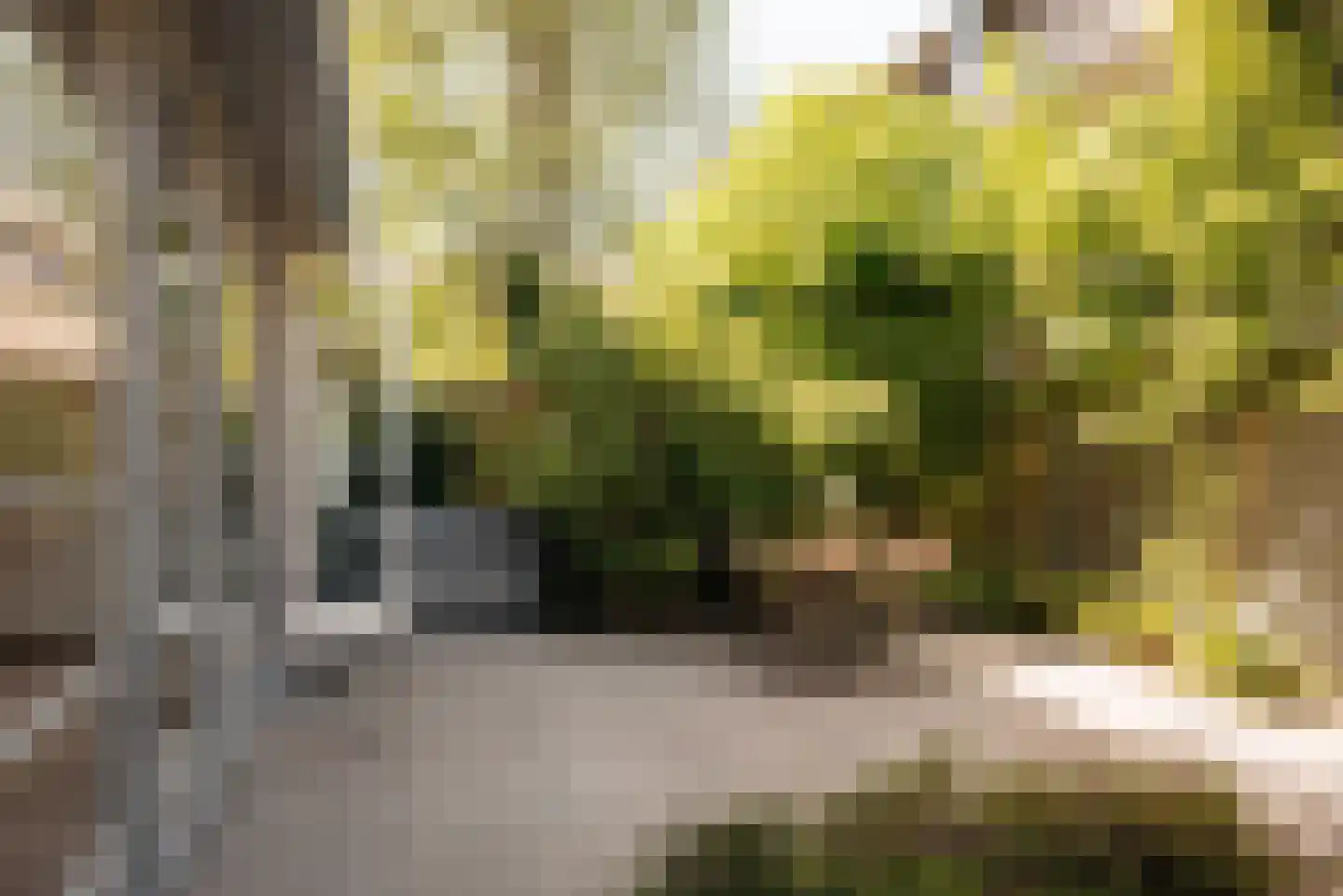 Haarlemmermeerstraat 56 1 Amsterdam thumbnail 17