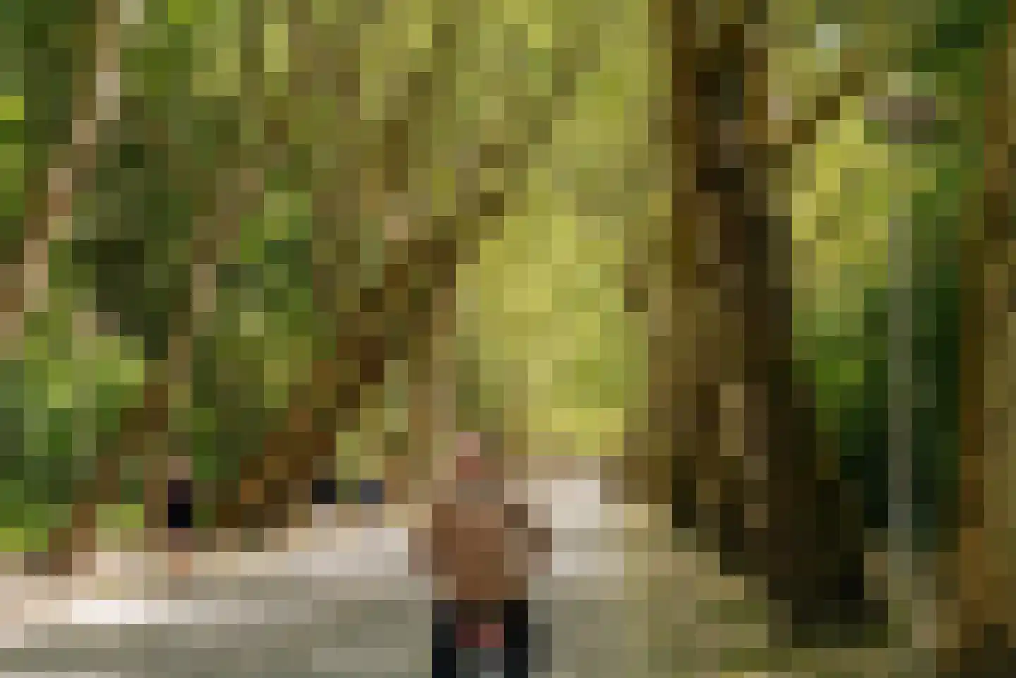 Haarlemmermeerstraat 56 3 Amsterdam thumbnail 39