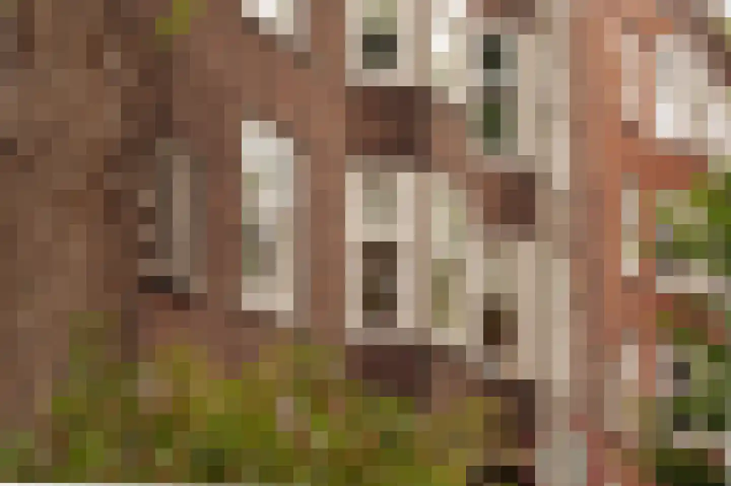 Haarlemmermeerstraat 62 1 Amsterdam thumbnail 28