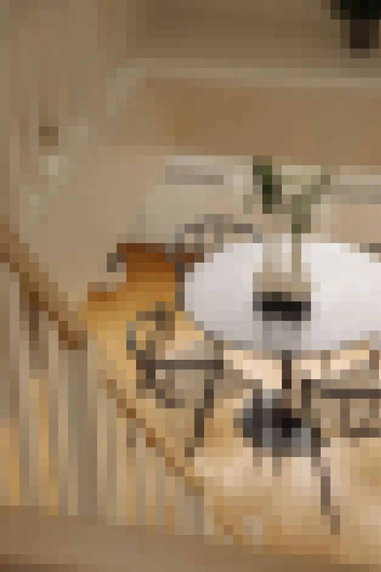 Haarlemmermeerstraat 67 2 Amsterdam thumbnail 18