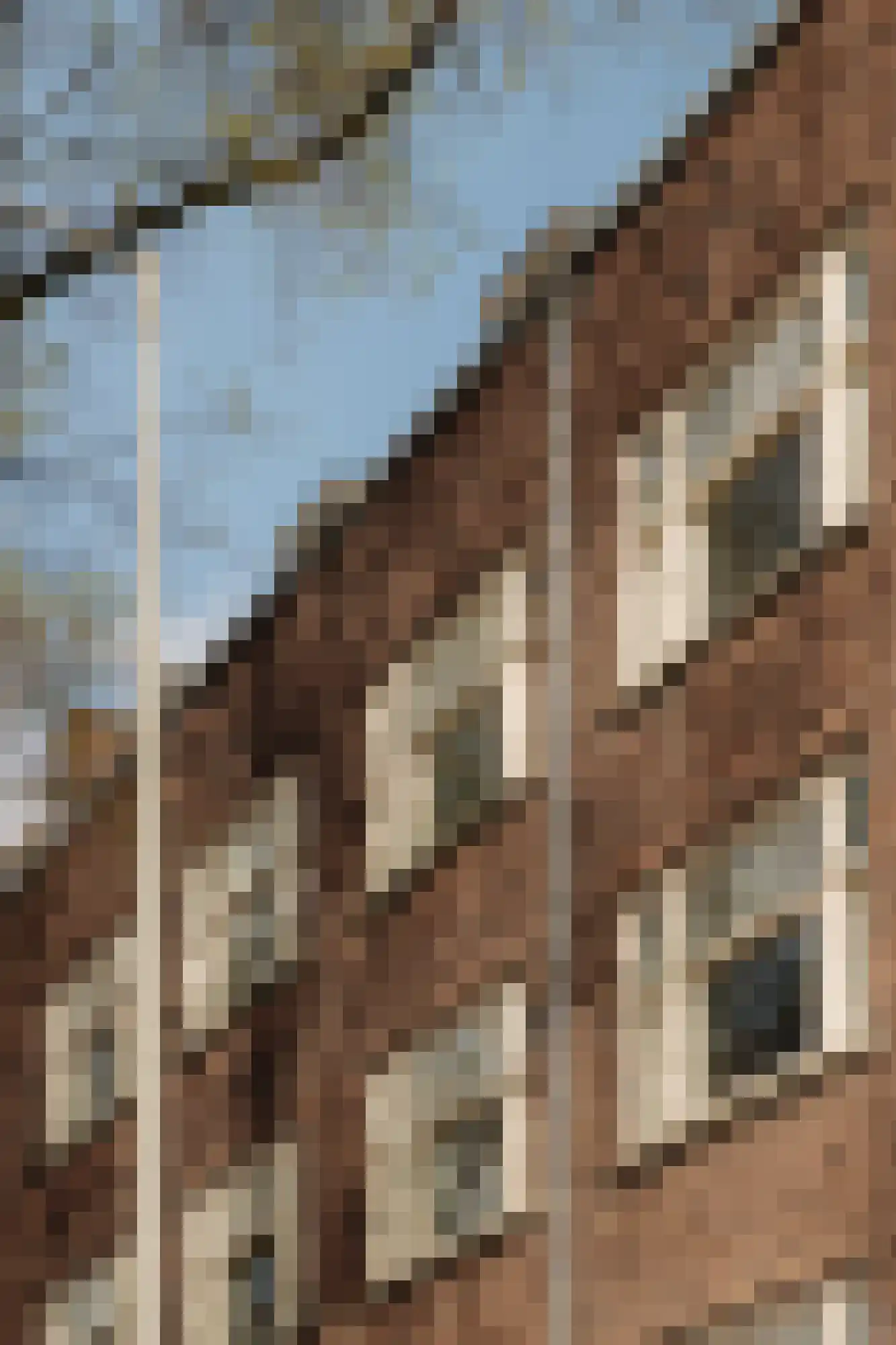 Haarlemmermeerstraat 67 2 Amsterdam thumbnail 28