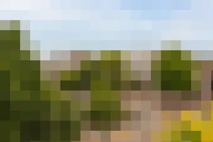 Haarlemmerplein 21 1 Amsterdam thumbnail 25