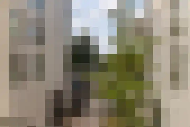 Haarlemmerplein 22 A Amsterdam thumbnail 32