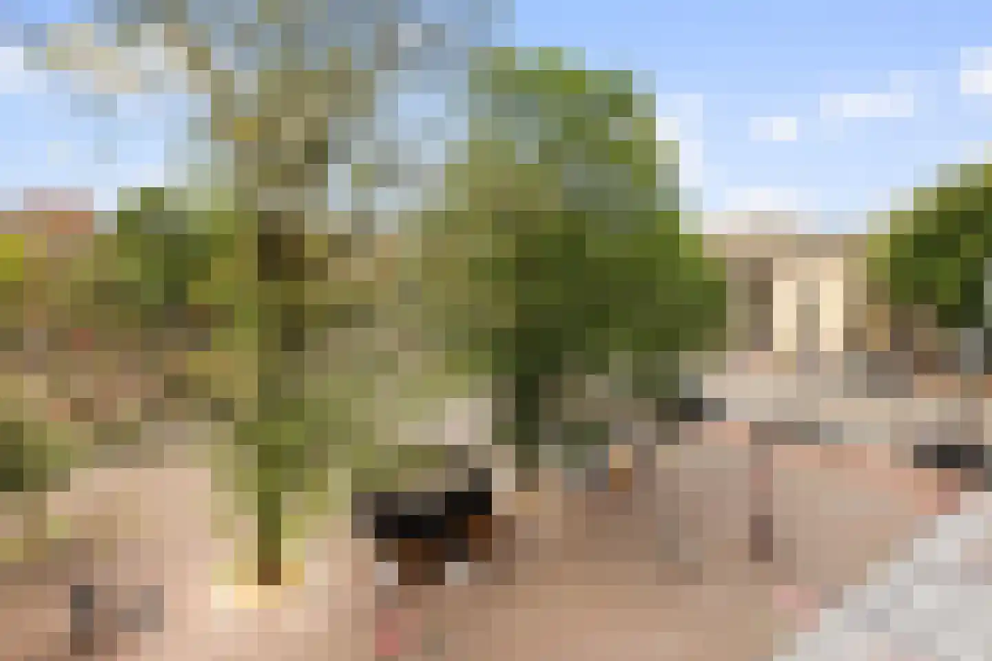 Haarlemmerplein 24 C Amsterdam thumbnail 29