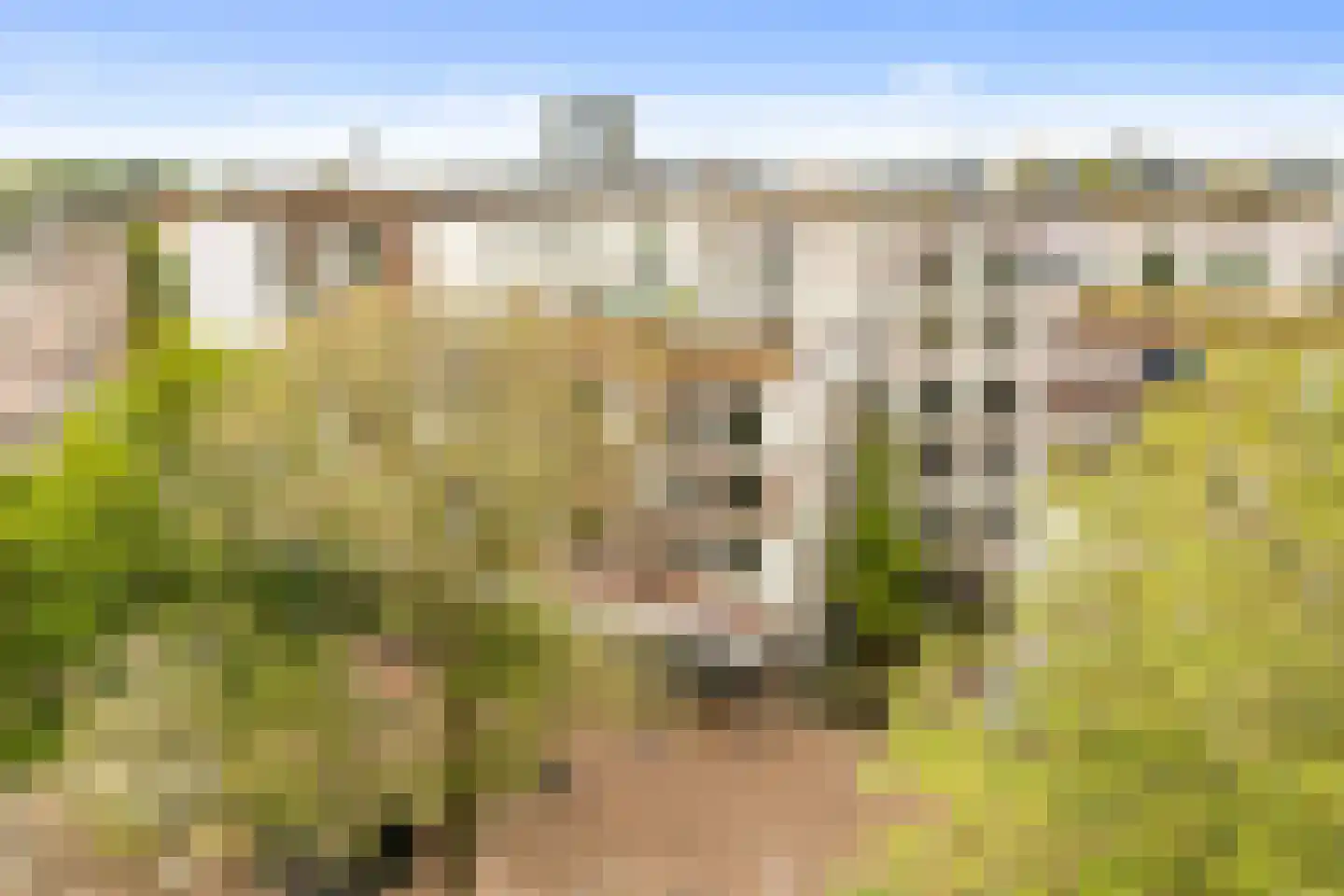 Haarlemmerplein 24 C Amsterdam thumbnail 30