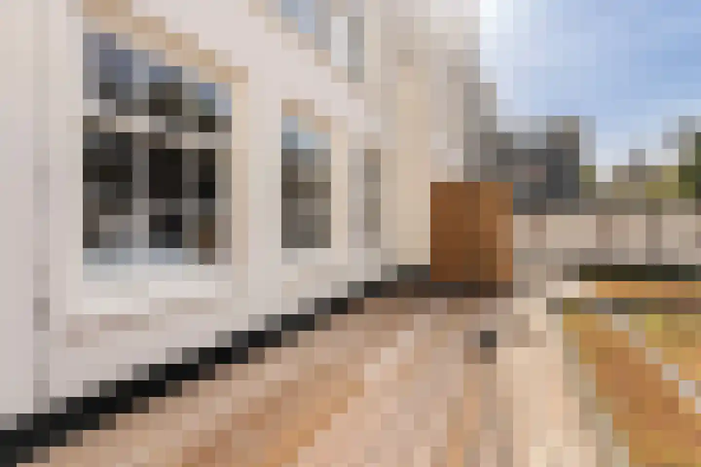 Haarlemmerstraat 125 A Amsterdam thumbnail 10