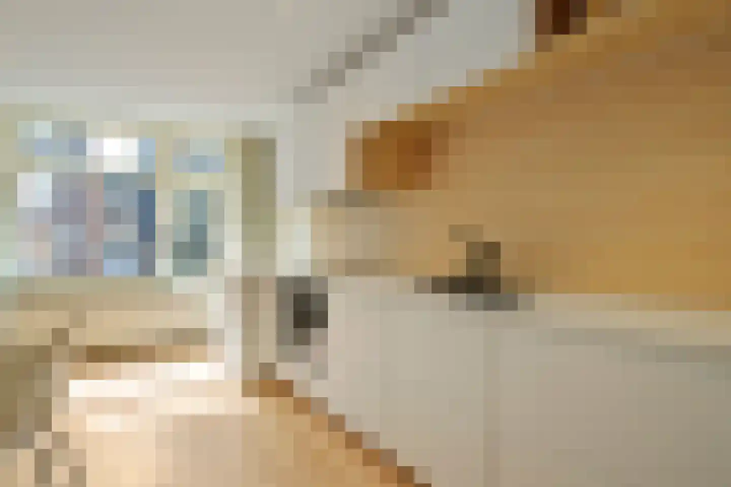 Haarlemmerstraat 24 1 Amsterdam thumbnail 5