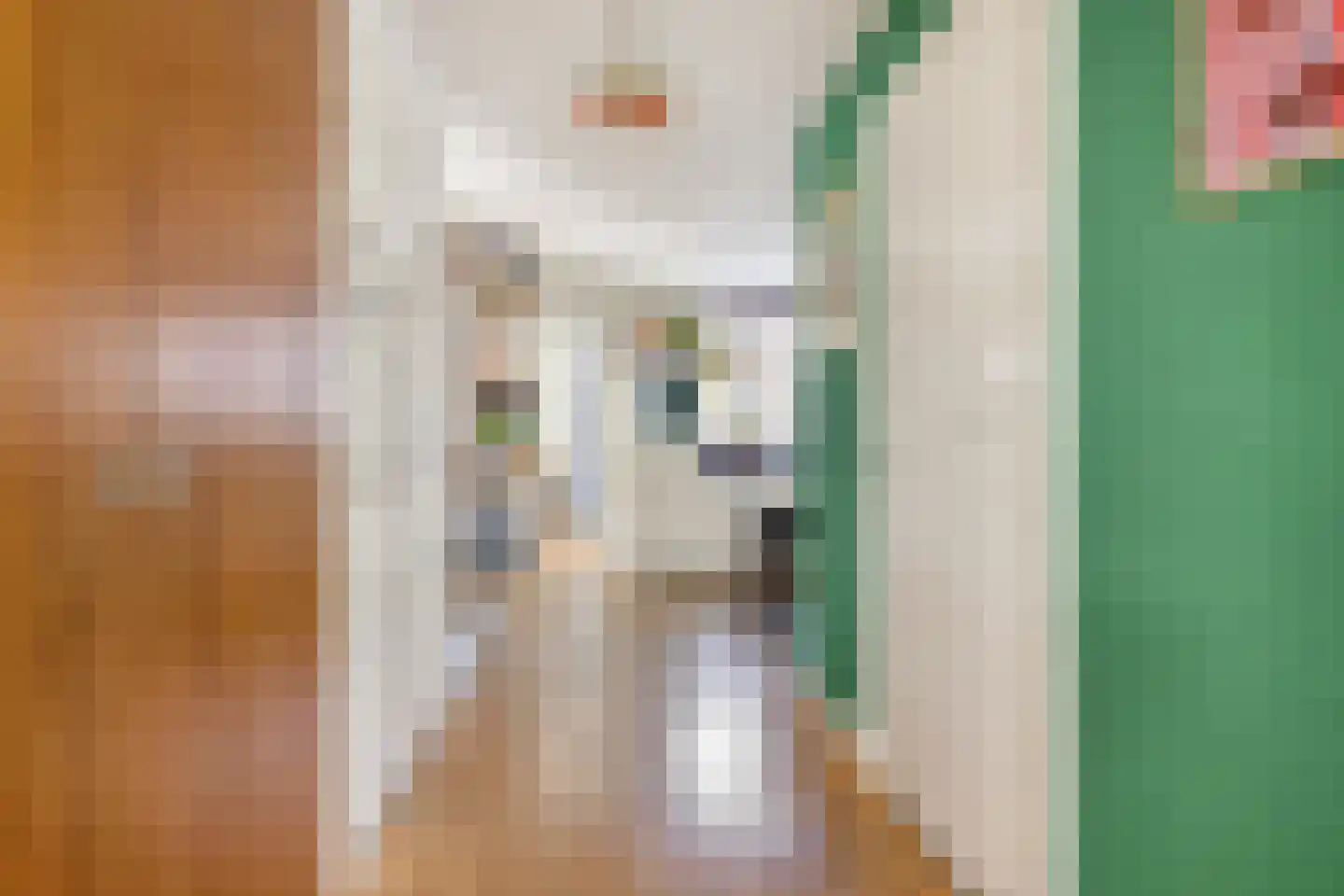 Haarlemmerstraat 3 D Amsterdam thumbnail 11