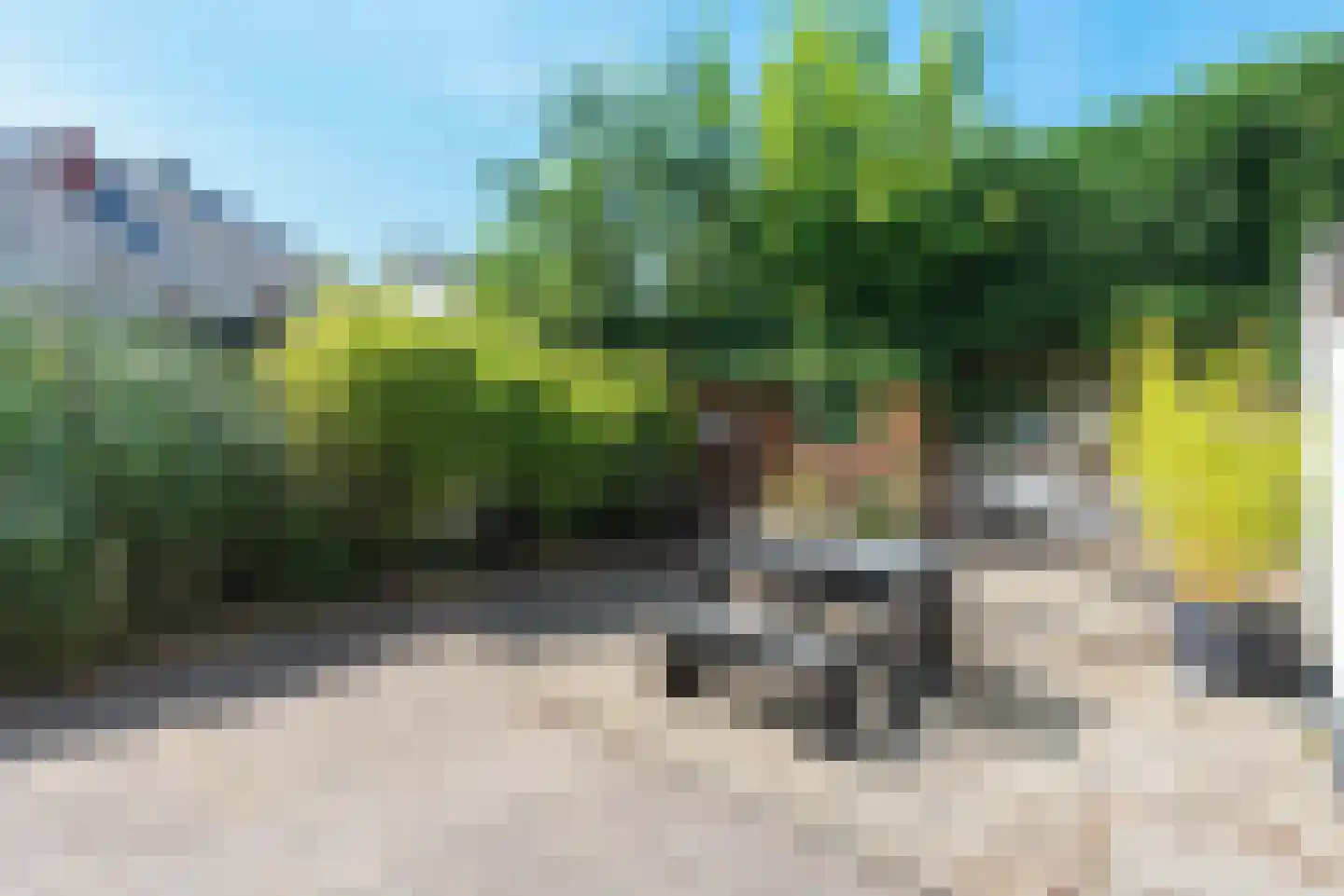 Haarlemmerstraat 88 b Zandvoort thumbnail 5