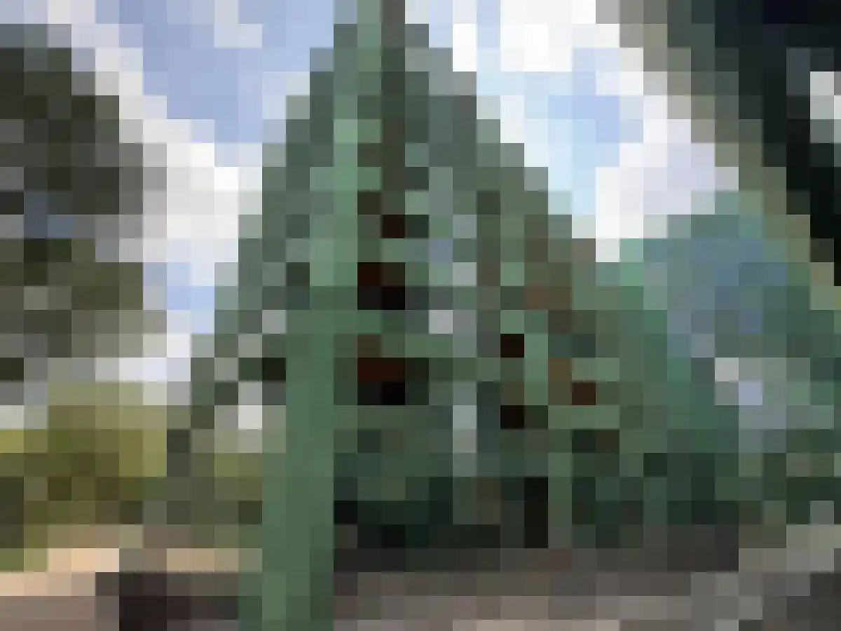 Haarlemmerweg 1140 L Amsterdam thumbnail 4