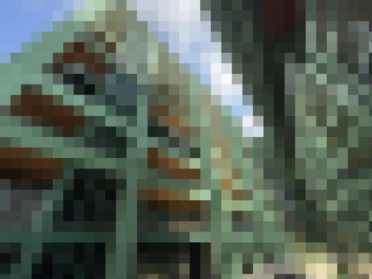 Haarlemmerweg 1140 W Amsterdam thumbnail 4