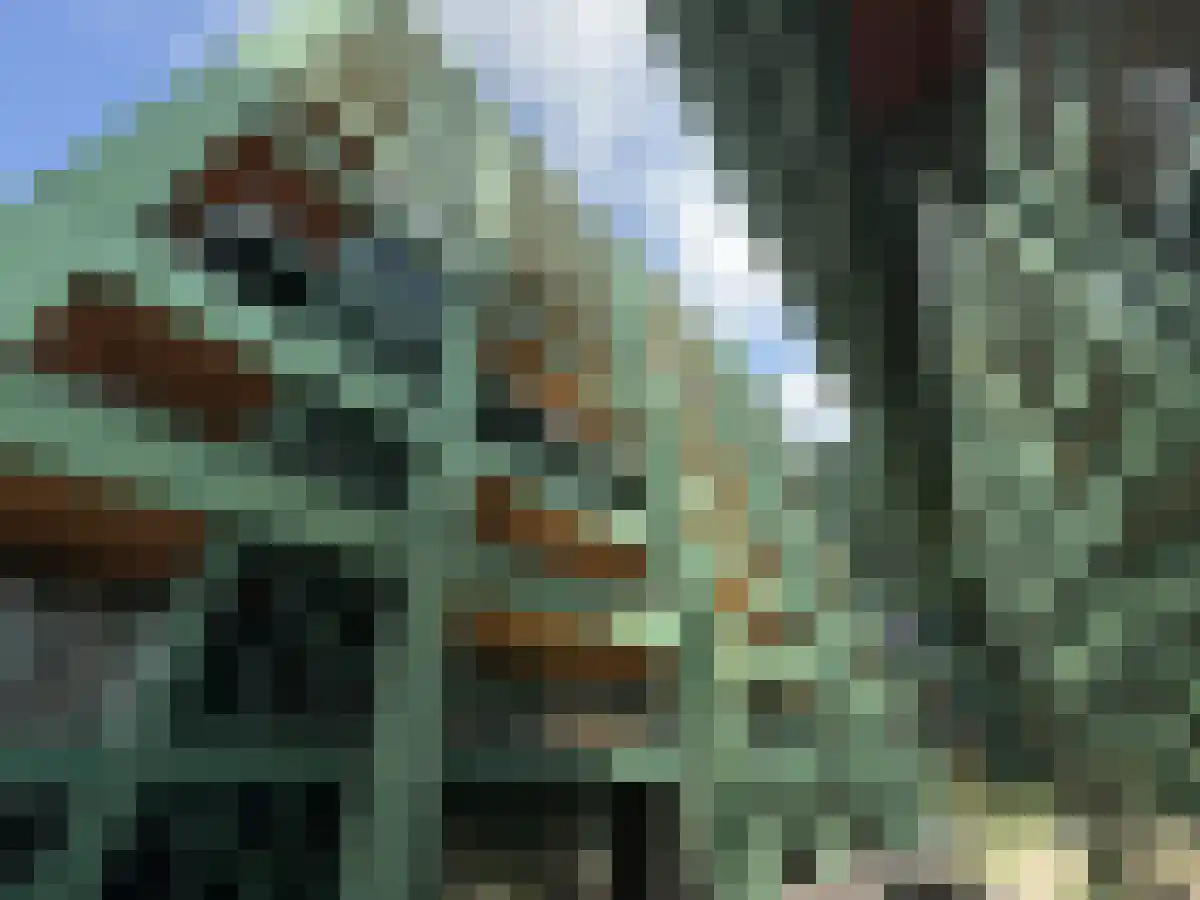 Haarlemmerweg 1148 F Amsterdam thumbnail 4
