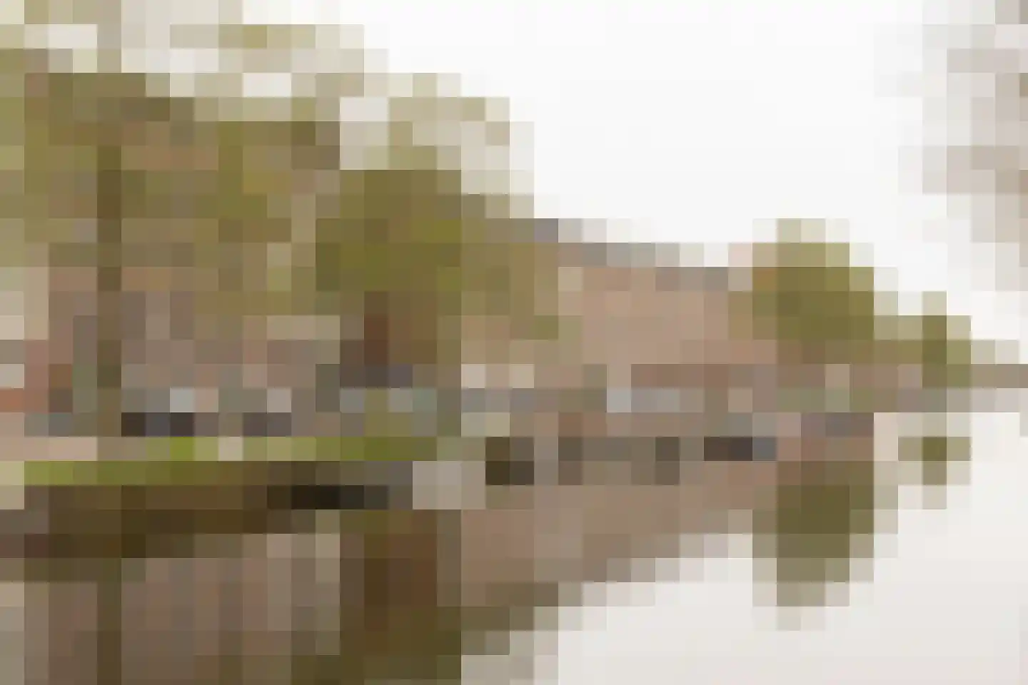 Haarlemmerweg 123 A Amsterdam thumbnail 4