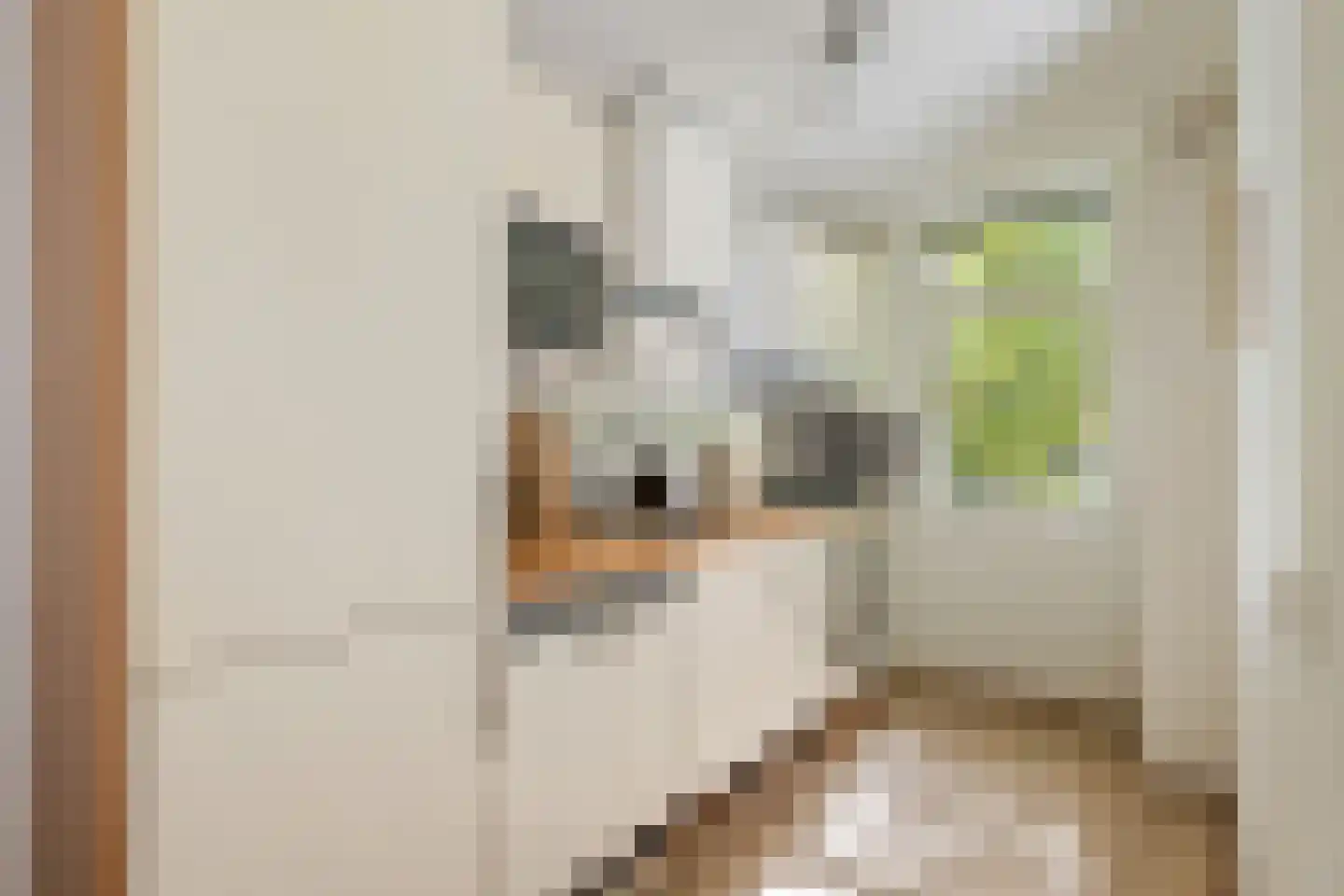Haarlemmerweg 125 1 Amsterdam thumbnail 9