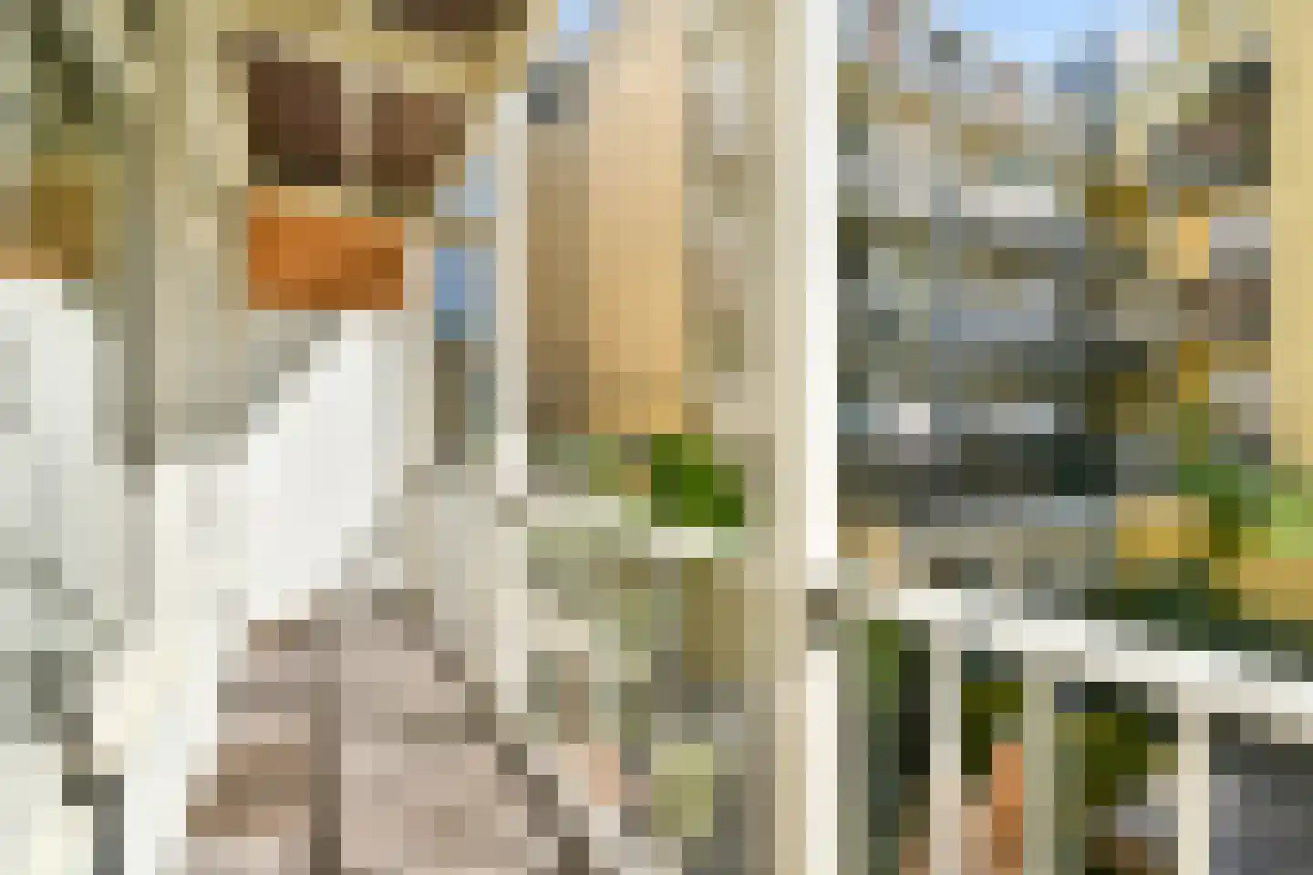Haarlemmerweg 141 1 Amsterdam thumbnail 5