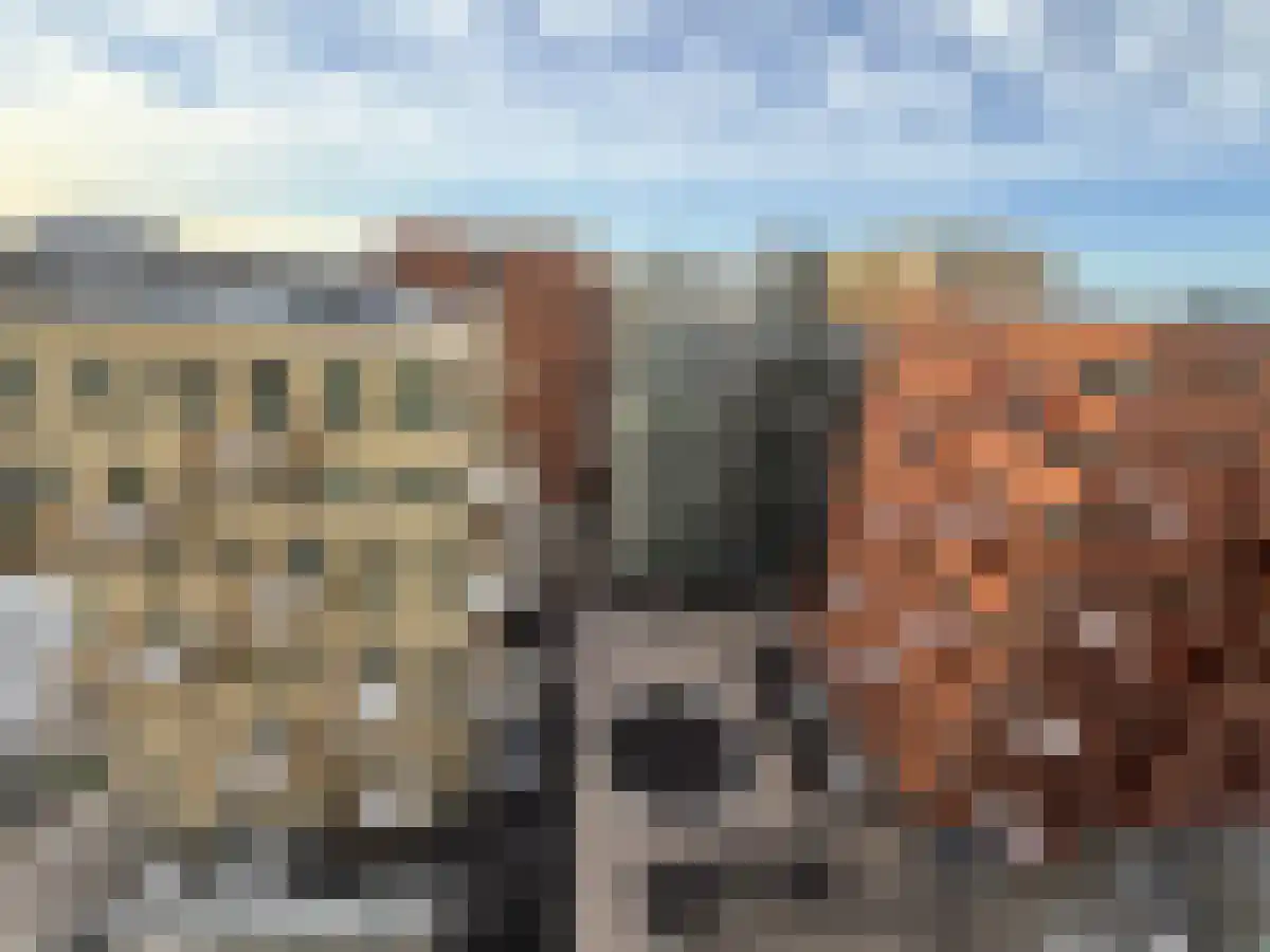 Haarlemmerweg 1460 Amsterdam