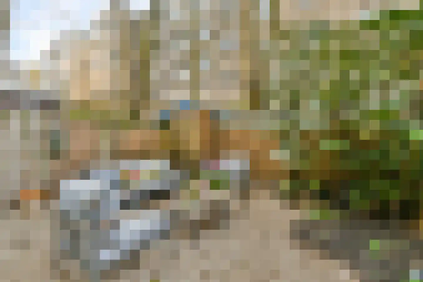 Haarlemmerweg 155 2 Amsterdam thumbnail 19