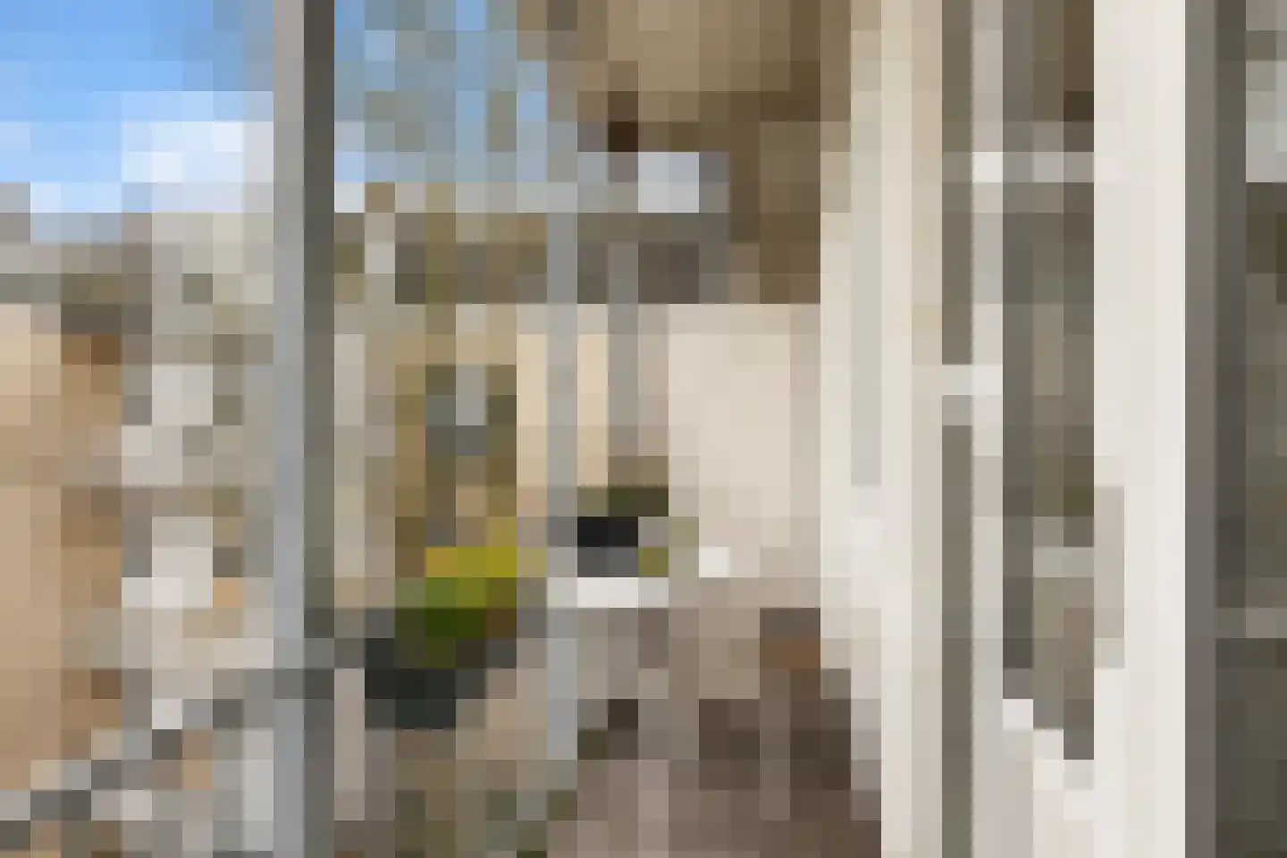 Haarlemmerweg 169 2 Amsterdam thumbnail 15
