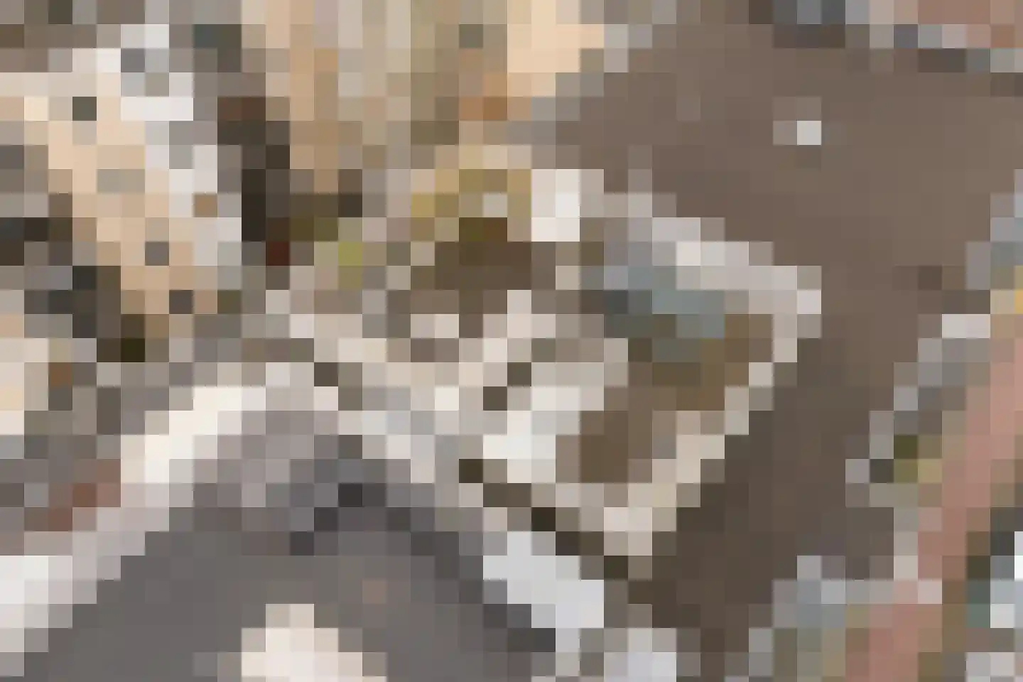 Haarlemmerweg 169 2 Amsterdam thumbnail 31