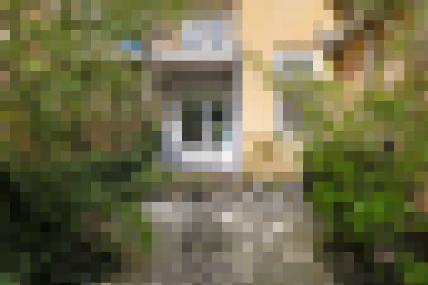 Haarlemmerweg 205 1 Amsterdam thumbnail 11