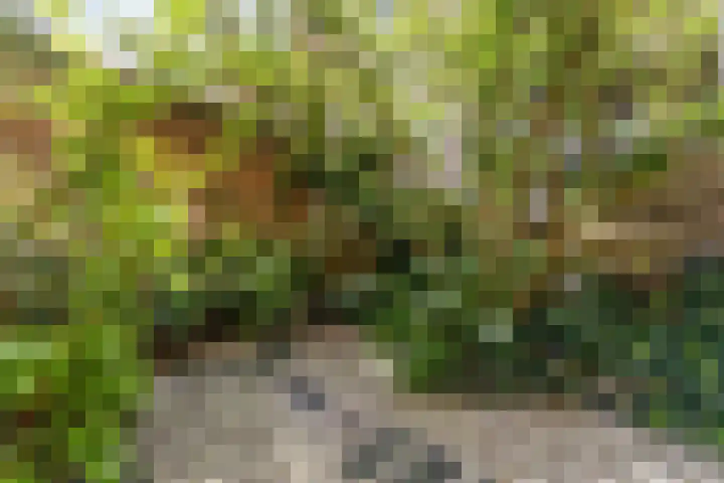 Haarlemmerweg 205 1 Amsterdam thumbnail 12