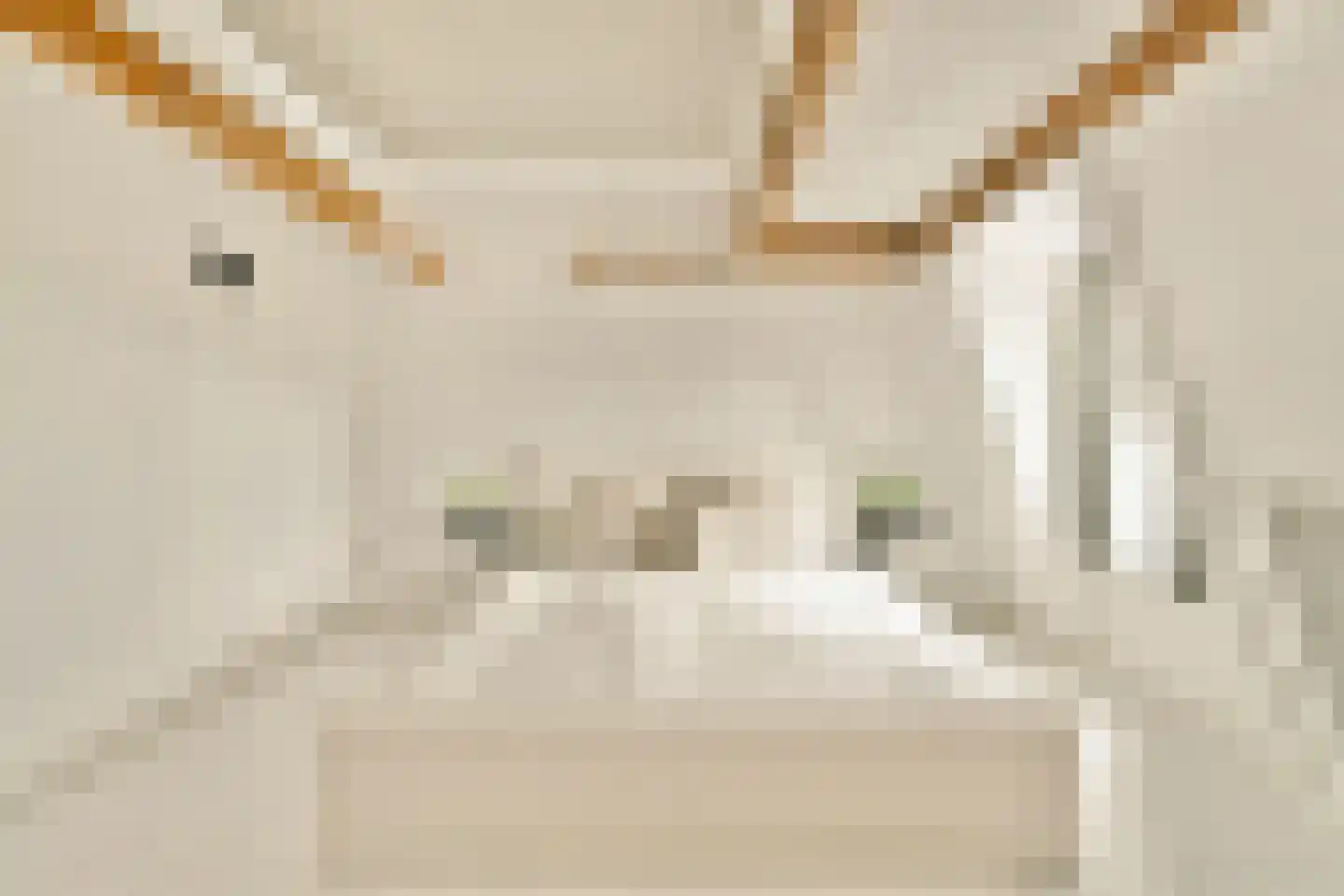 Haarlemmerweg 205 3 Amsterdam thumbnail 28