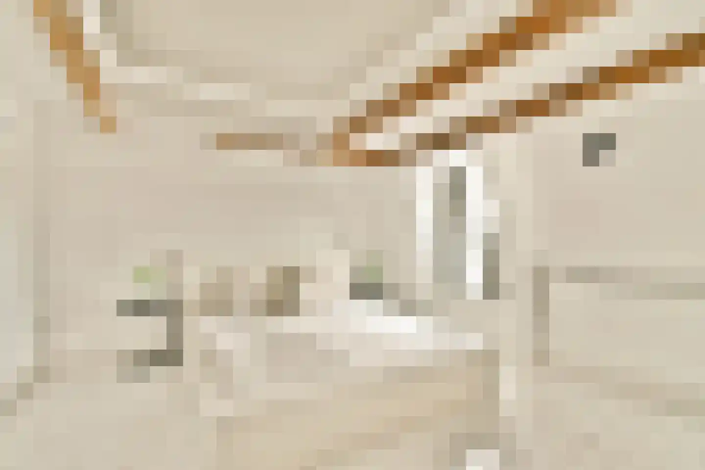 Haarlemmerweg 205 3 Amsterdam thumbnail 6
